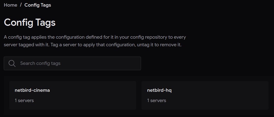 Configure Netbird Tags